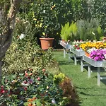 Residenza I Ciclamini Bed & Breakfast 4*