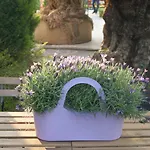 Residenza I Ciclamini Bed & Breakfast 4*