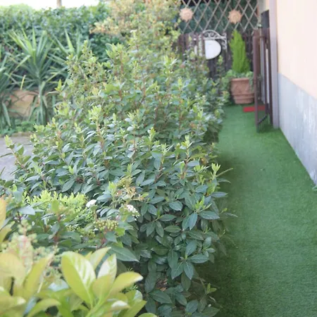 Bed & Breakfast Residenza I Ciclamini Rom