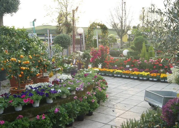 לינה וארוחת בוקר Residenza I Ciclamini