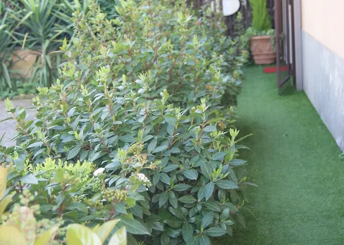 לינה וארוחת בוקר Residenza I Ciclamini רומא