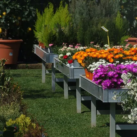 Residenza I Ciclamini Couette-café