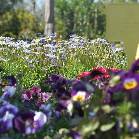 Residenza I Ciclamini Couette-café 4*