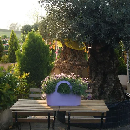 Residenza I Ciclamini 4* Rome