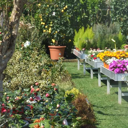 Residenza I Ciclamini Couette-café 4*