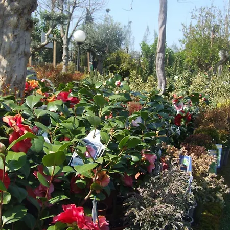 Couette-café Residenza I Ciclamini Rome