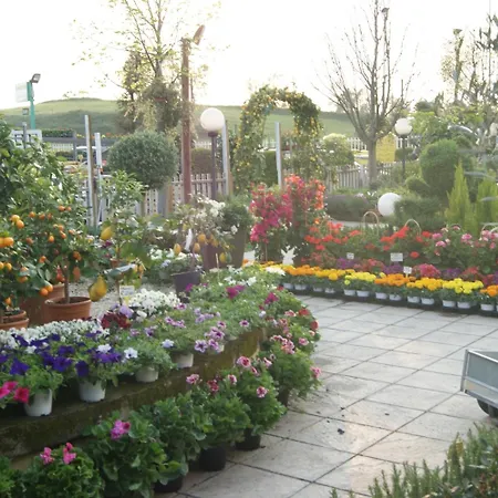 Couette-café Residenza I Ciclamini