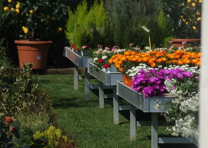 Residenza I Ciclamini Bed and breakfast