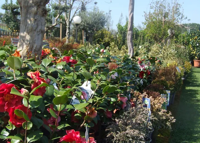 Bed and breakfast Residenza I Ciclamini Roma